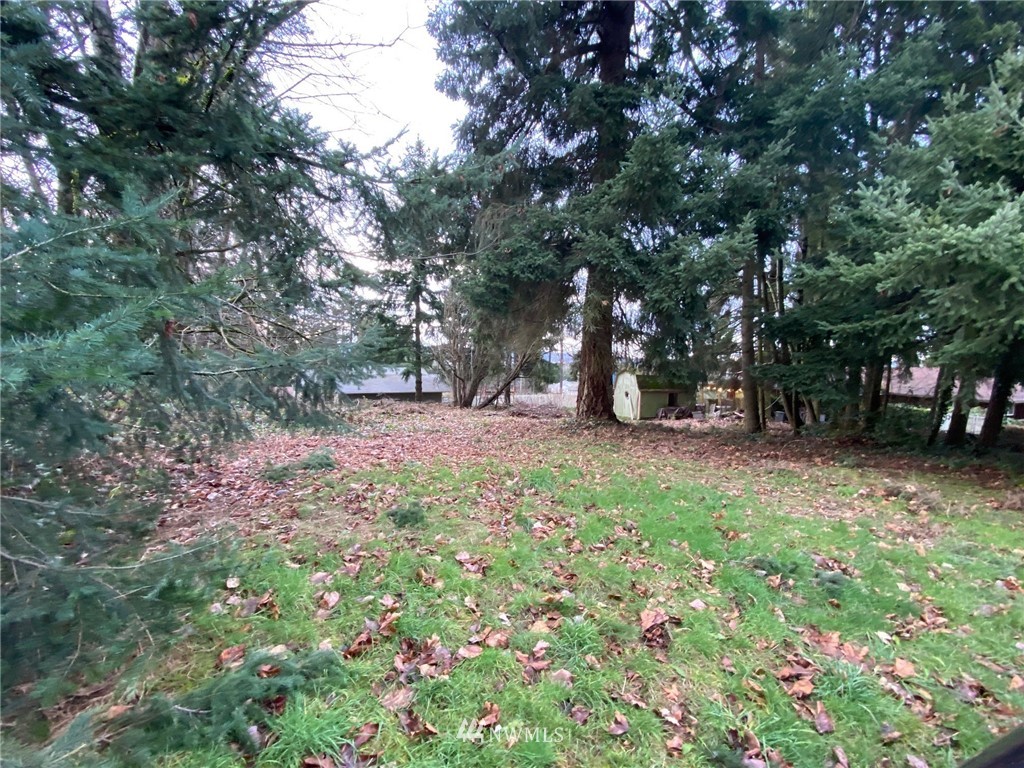 19809 Talbot Road South Renton, WA 98055 - Photo 6 of 10