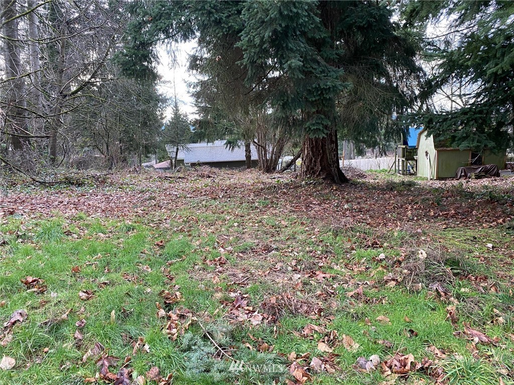 19809 Talbot Road South Renton, WA 98055 - Photo 7 of 10