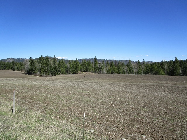 2013 Swiss Valley Road Addy, WA 99101 - Photo 2 of 7
