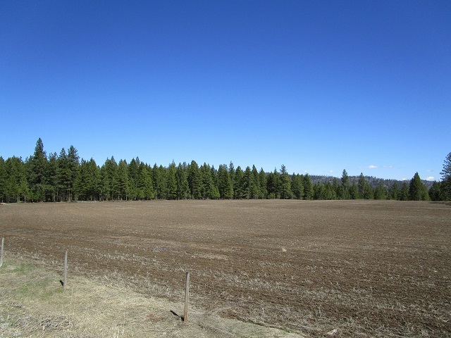 2013 Swiss Valley Road Addy, WA 99101 - Photo 3 of 7
