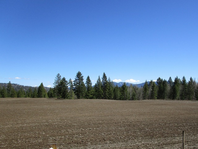 2013 Swiss Valley Road Addy, WA 99101 - Photo 4 of 7