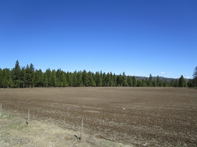 2013 Swiss Valley Road Addy, WA 99101 - Photo 5 of 7