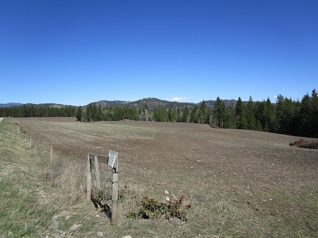 2013 Swiss Valley Road Addy, WA 99101 - Photo 6 of 7