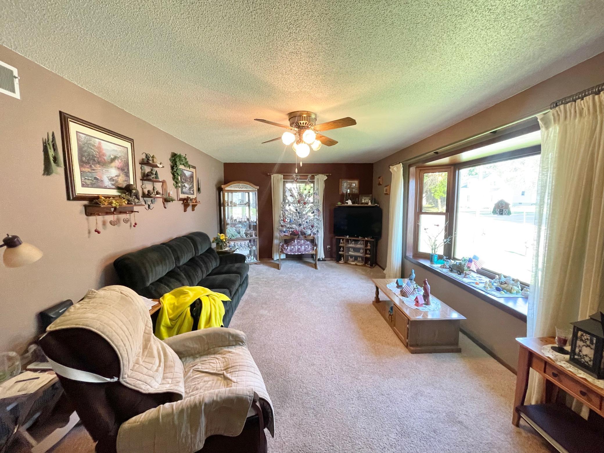 115 West Lincoln Street Springfield, MN 56087 - Photo 5 of 39