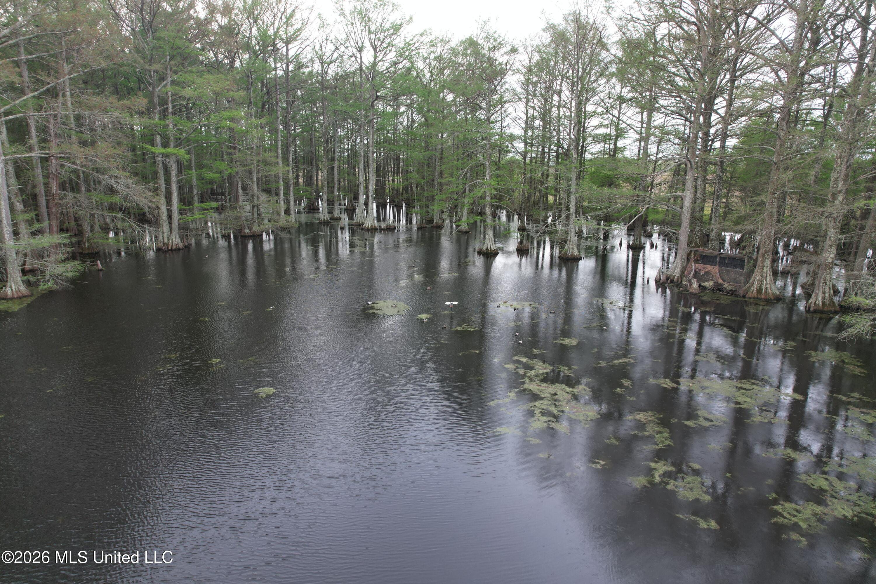 Shaw Road Sledge, MS 38670 - Photo 11 of 44 DJI_0237