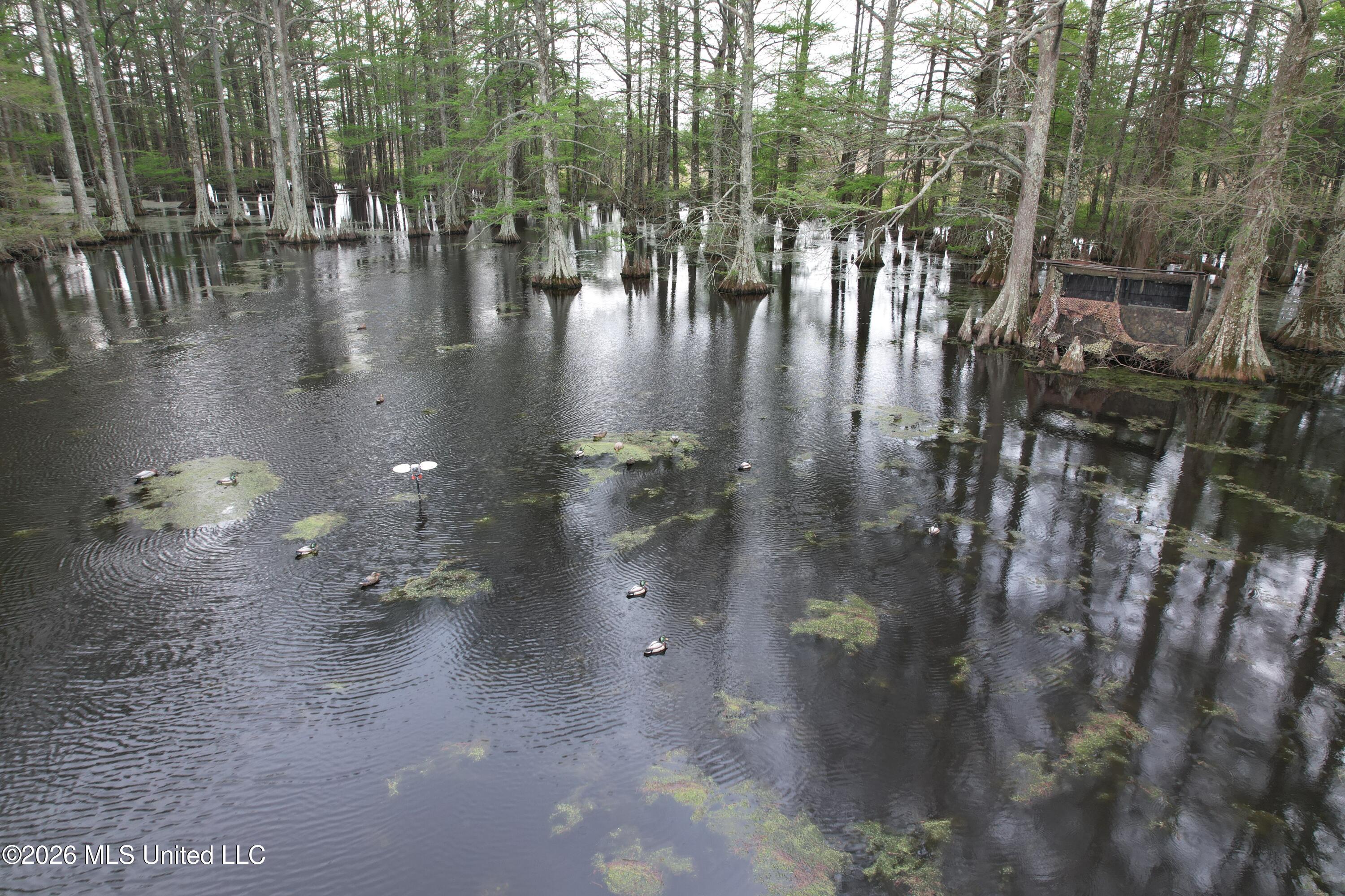 Shaw Road Sledge, MS 38670 - Photo 12 of 44 DJI_0238