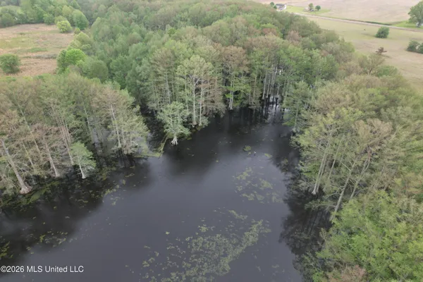 $195,000 | Shaw Road, Sledge, MS 38670