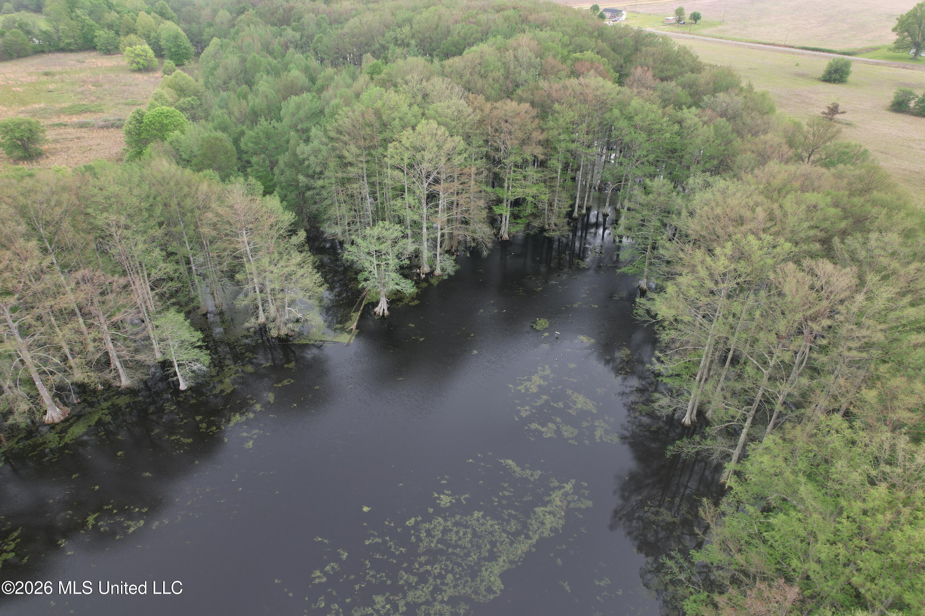 Shaw Road Sledge, MS 38670 - Photo 13 of 44 DJI_0239
