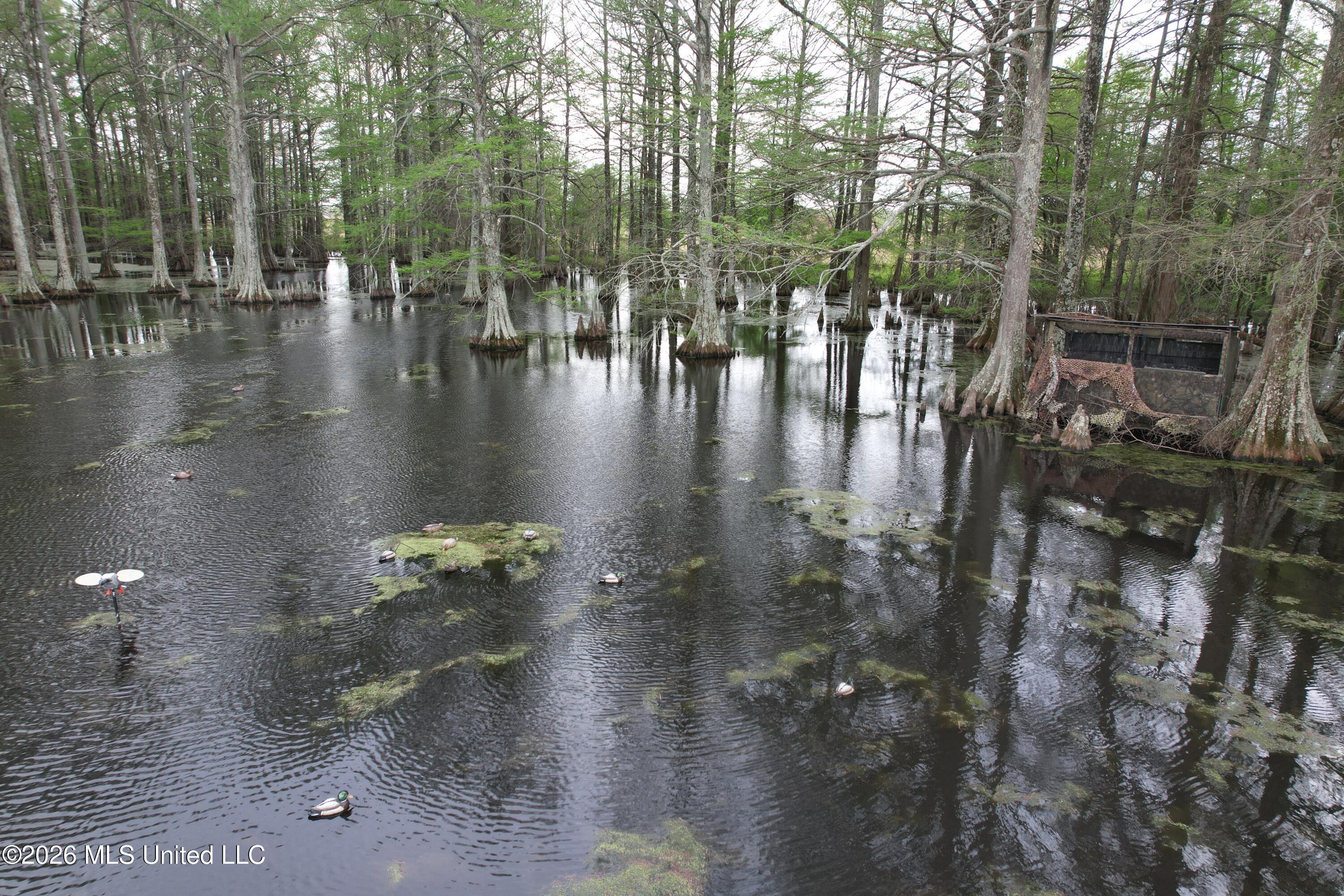 Shaw Road Sledge, MS 38670 - Photo 17 of 44 DJI_0243