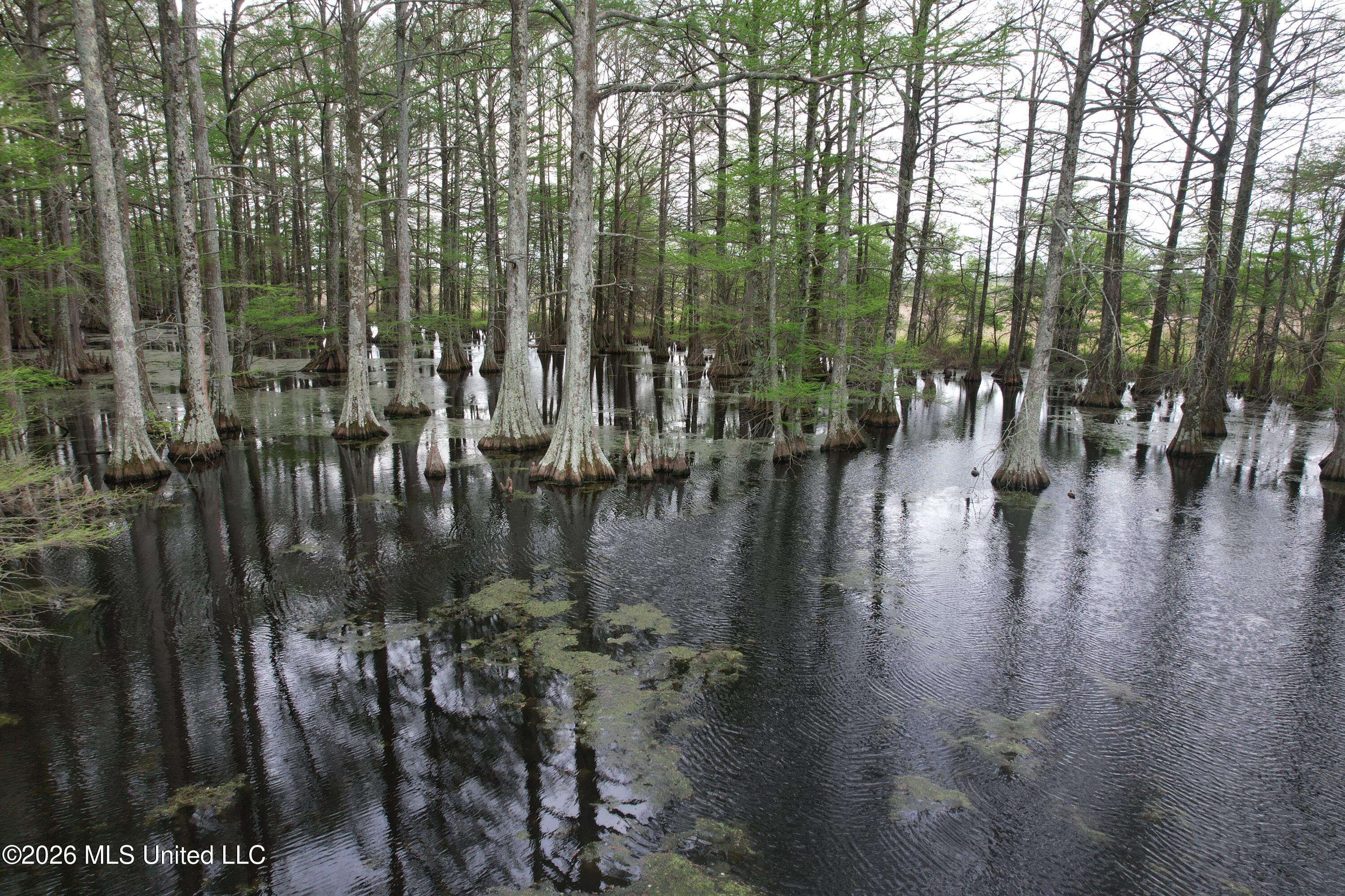 Shaw Road Sledge, MS 38670 - Photo 18 of 44 DJI_0244