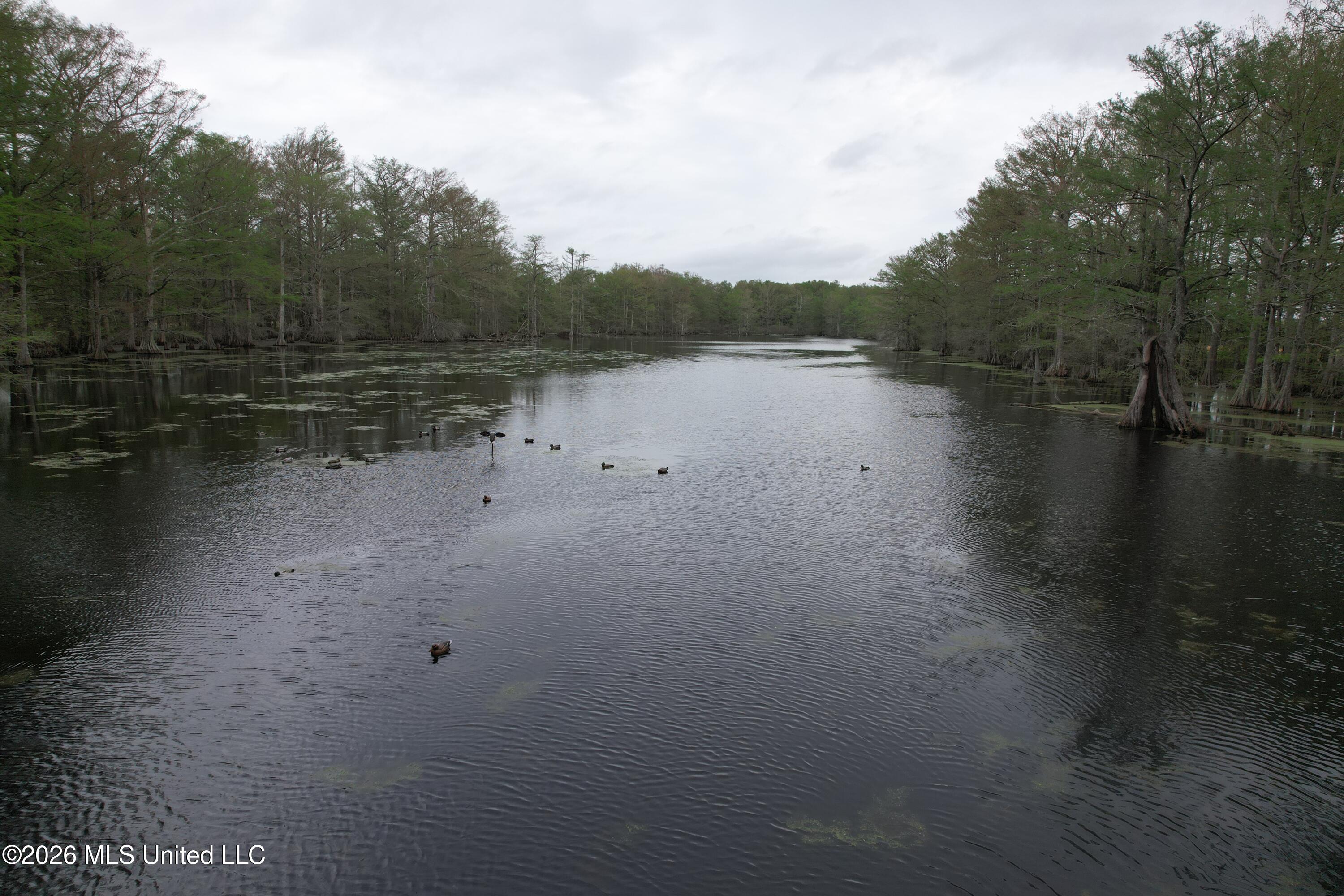 Shaw Road Sledge, MS 38670 - Photo 19 of 44 DJI_0246