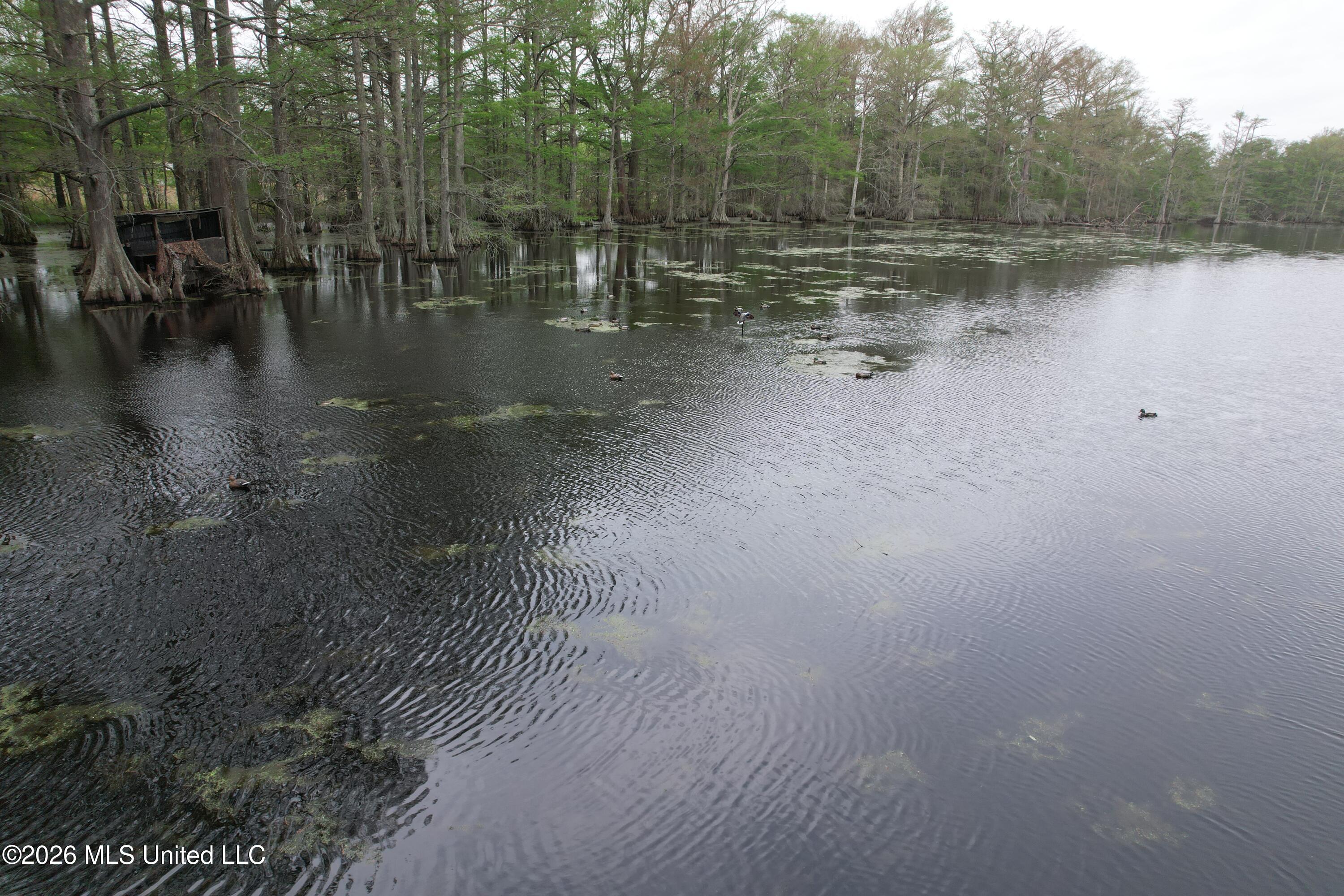 Shaw Road Sledge, MS 38670 - Photo 20 of 44 DJI_0247