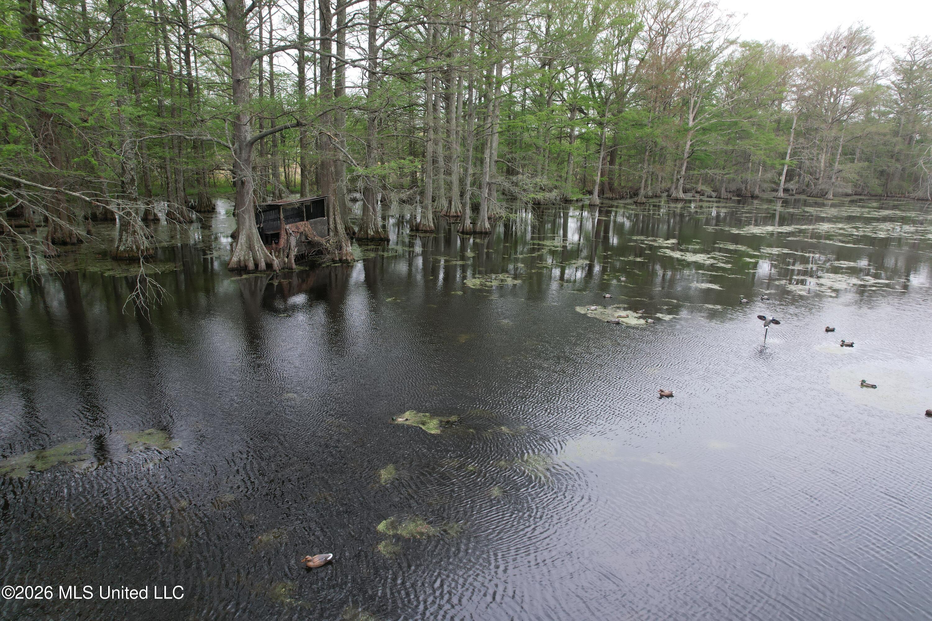 Shaw Road Sledge, MS 38670 - Photo 21 of 44 DJI_0248
