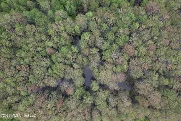 $195,000 | Shaw Road, Sledge, MS 38670