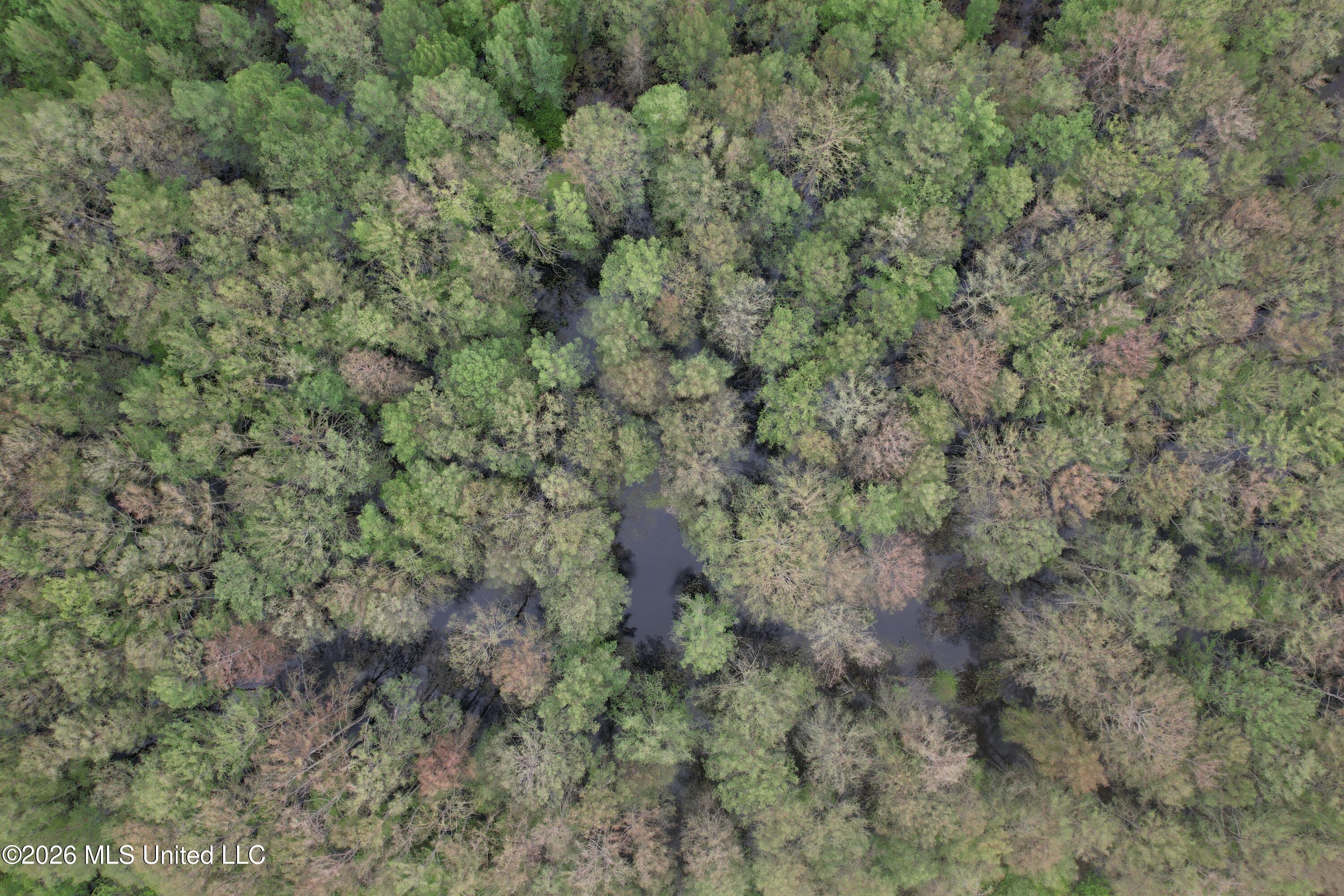 Shaw Road Sledge, MS 38670 - Photo 23 of 44 DJI_0250