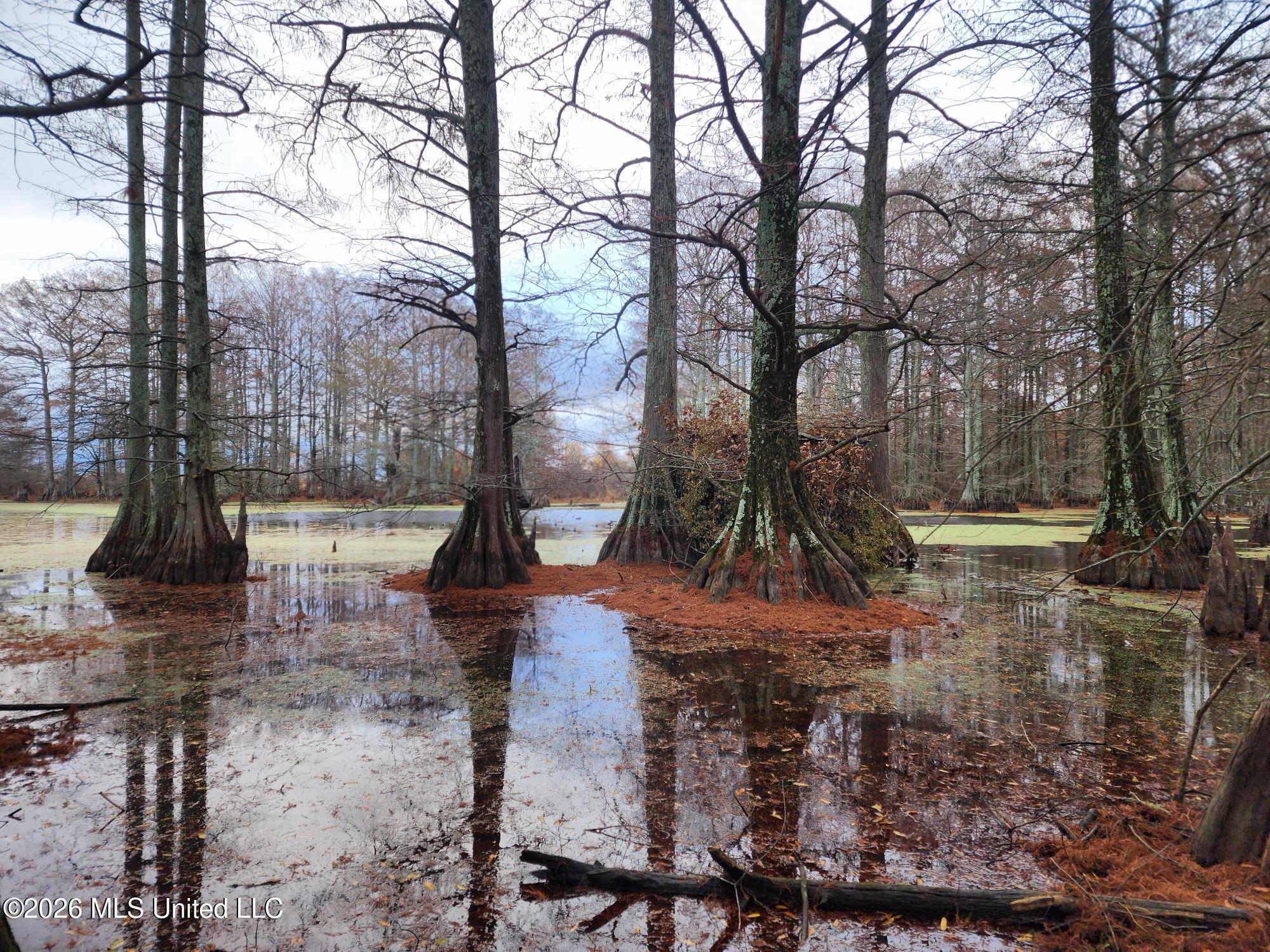 Shaw Road Sledge, MS 38670 - Photo 30 of 44 1000008109