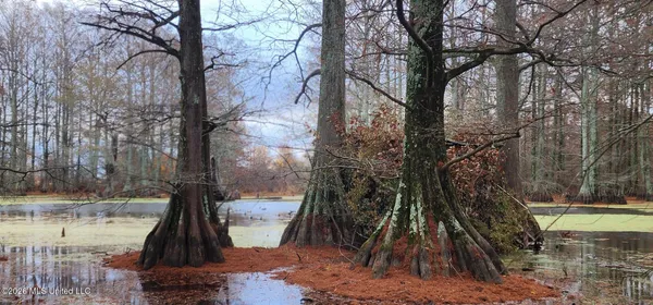 $195,000 | Shaw Road, Sledge, MS 38670