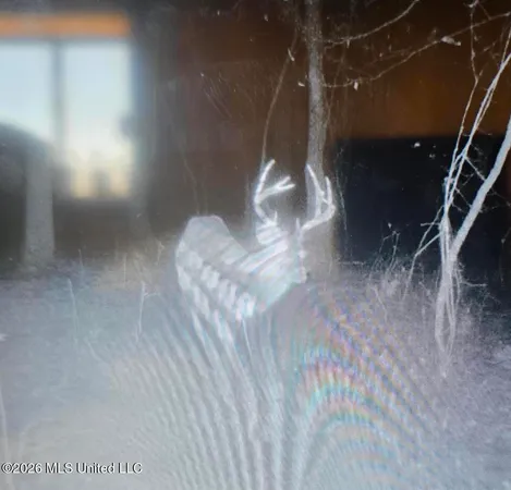 $195,000 | Shaw Road, Sledge, MS 38670