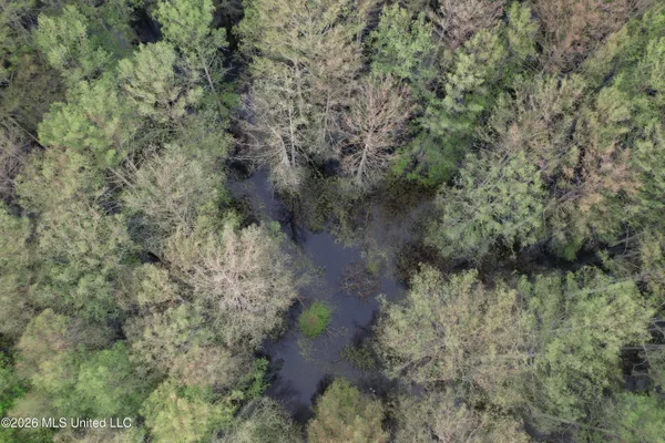 $195,000 | Shaw Road, Sledge, MS 38670