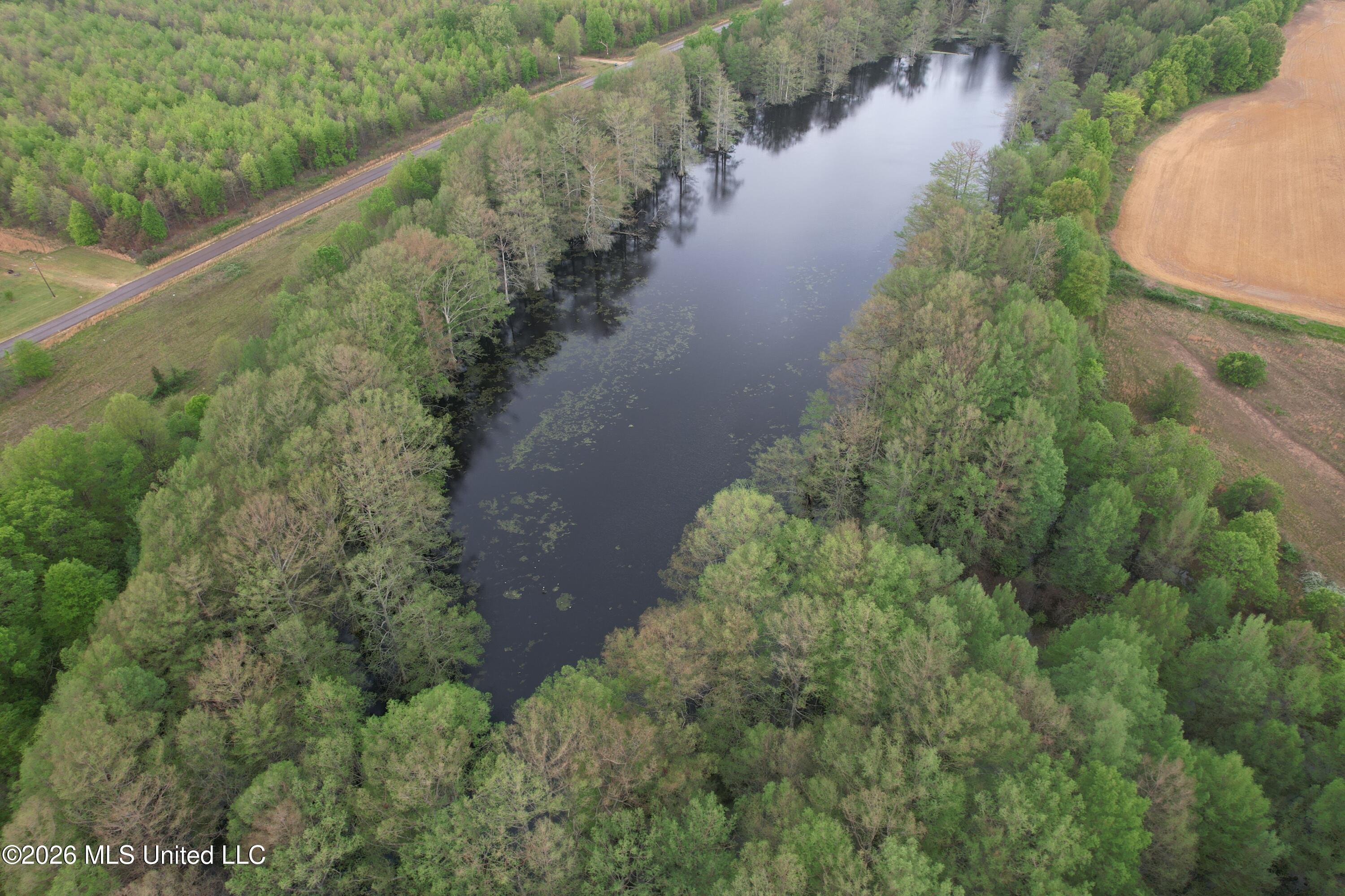 Shaw Road Sledge, MS 38670 - Photo 6 of 44 DJI_0232