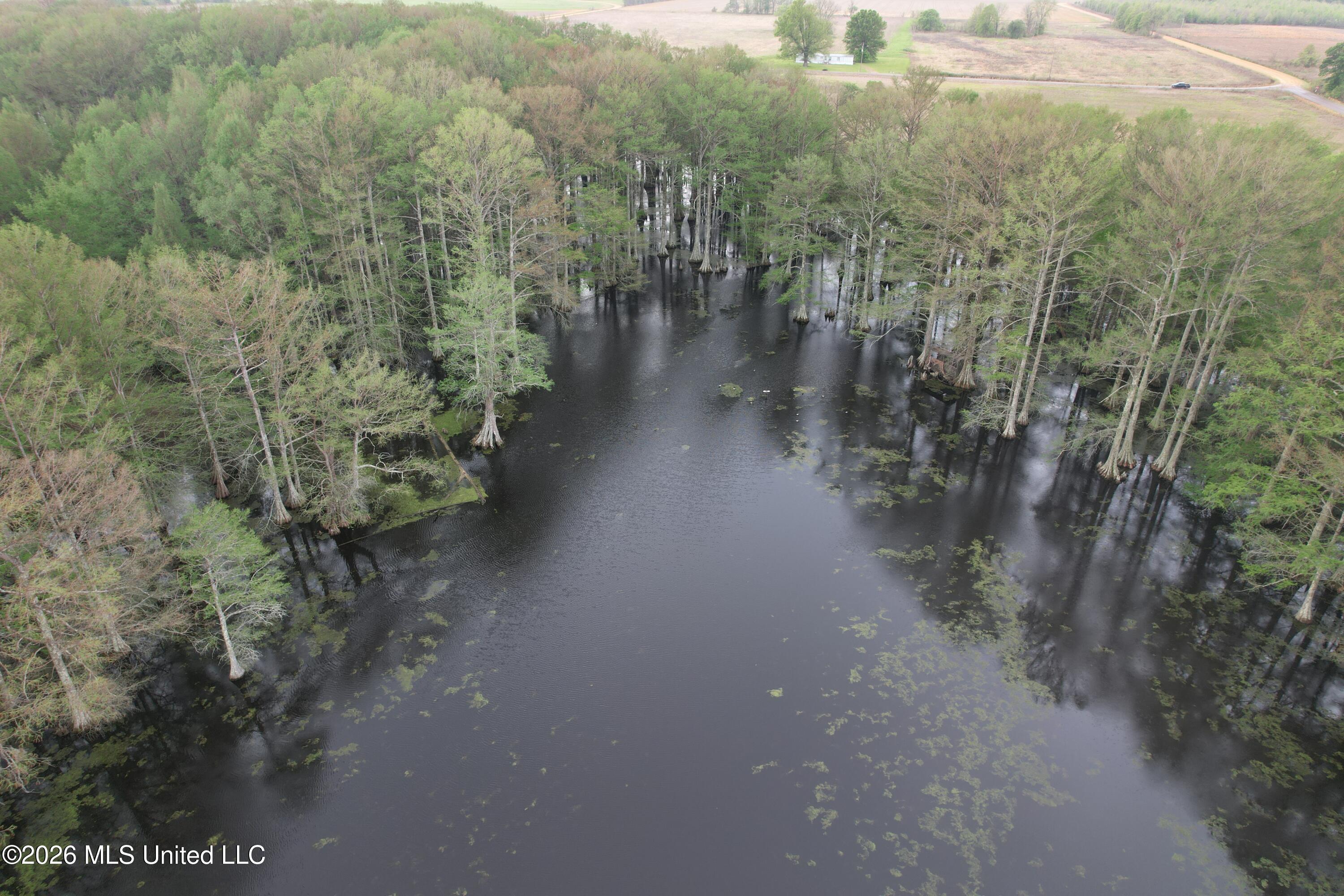 Shaw Road Sledge, MS 38670 - Photo 7 of 44 DJI_0233
