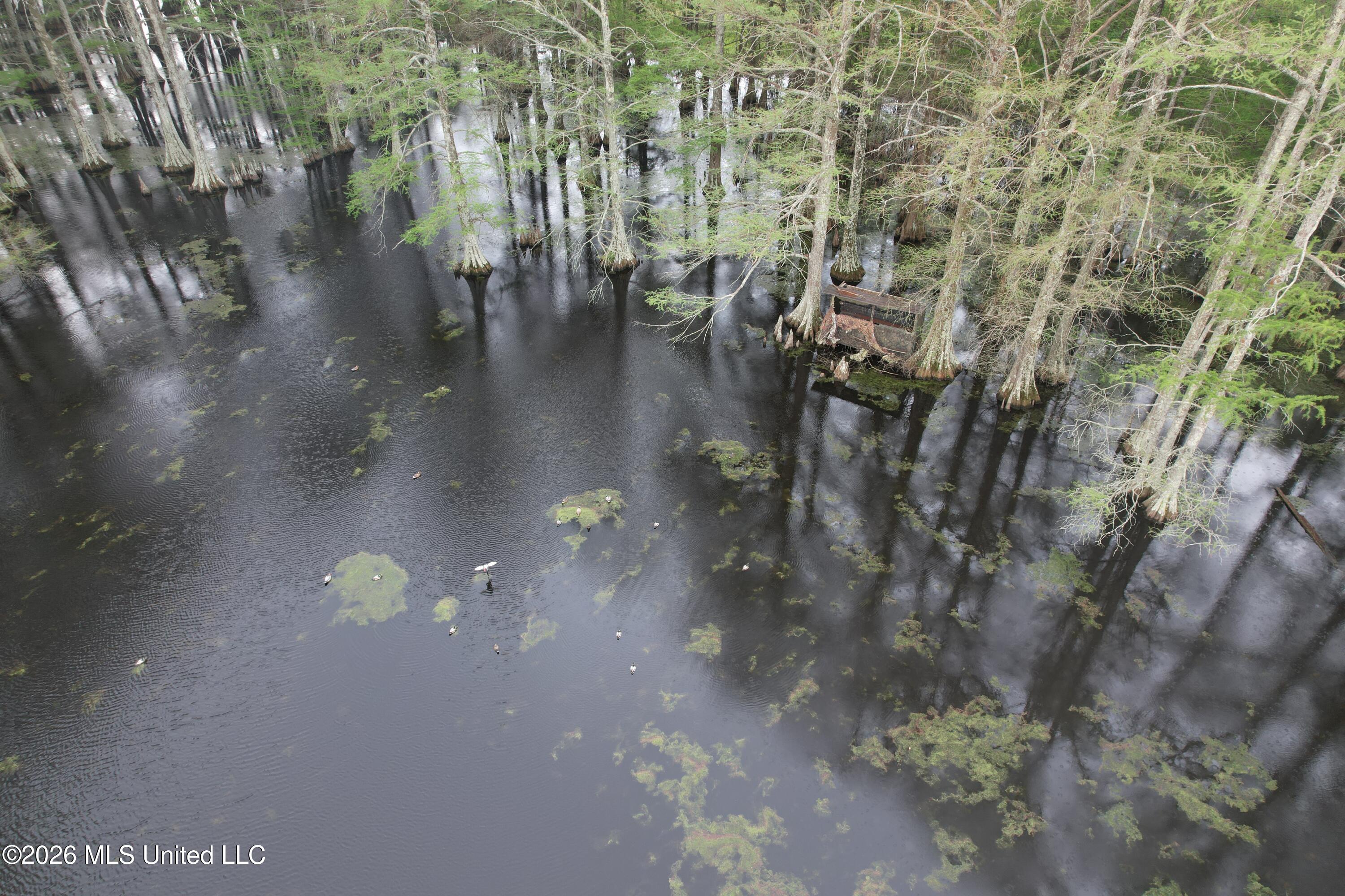 Shaw Road Sledge, MS 38670 - Photo 9 of 44 DJI_0235