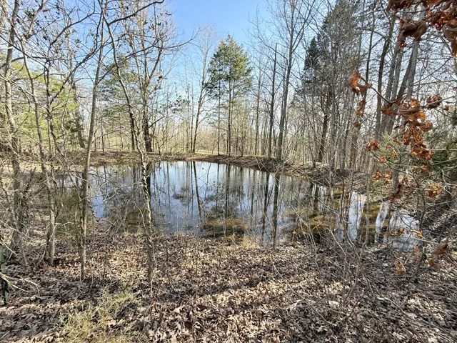 a view of a dry yard with trees