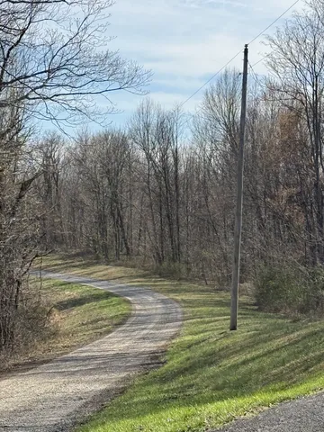 a view of a dry yard with green space