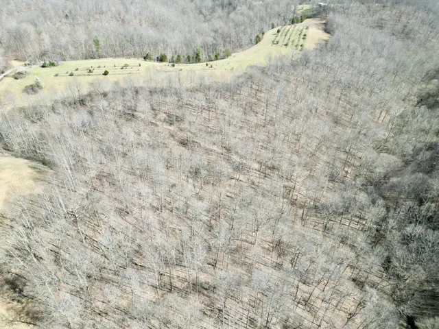 a view of a dry yard with wooden floor and fence