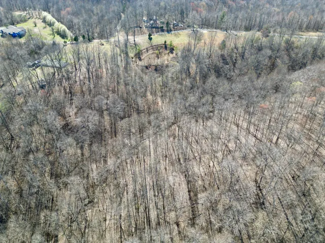 a view of a dry yard with trees