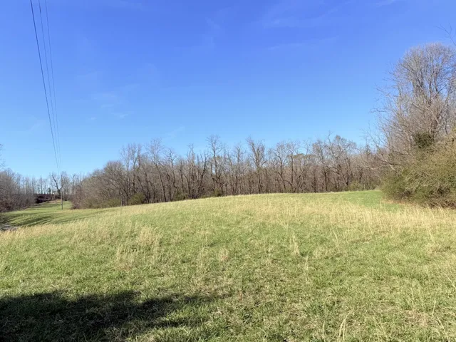 a view of a yard with an trees