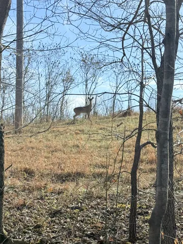a view of empty room with green space