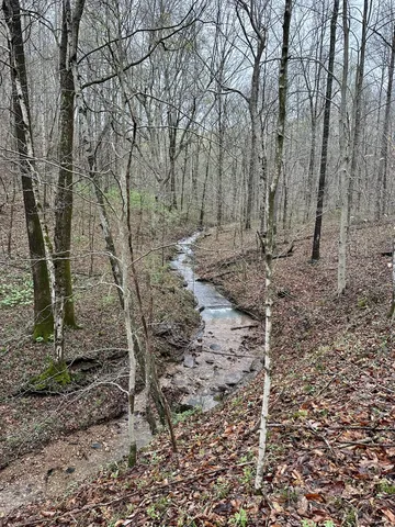 a view of a yard with trees in the background