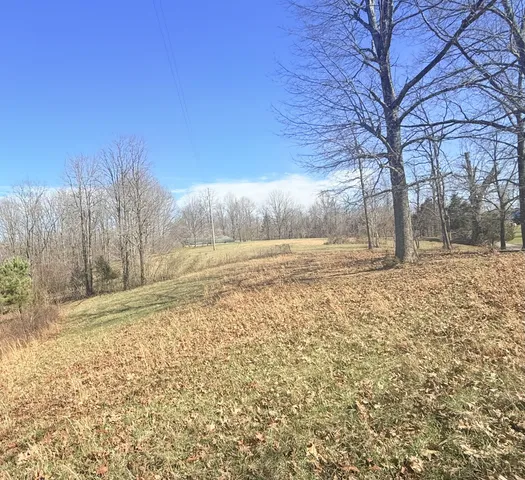 a view of a big yard