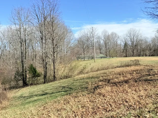 a view of an outdoor space and a yard
