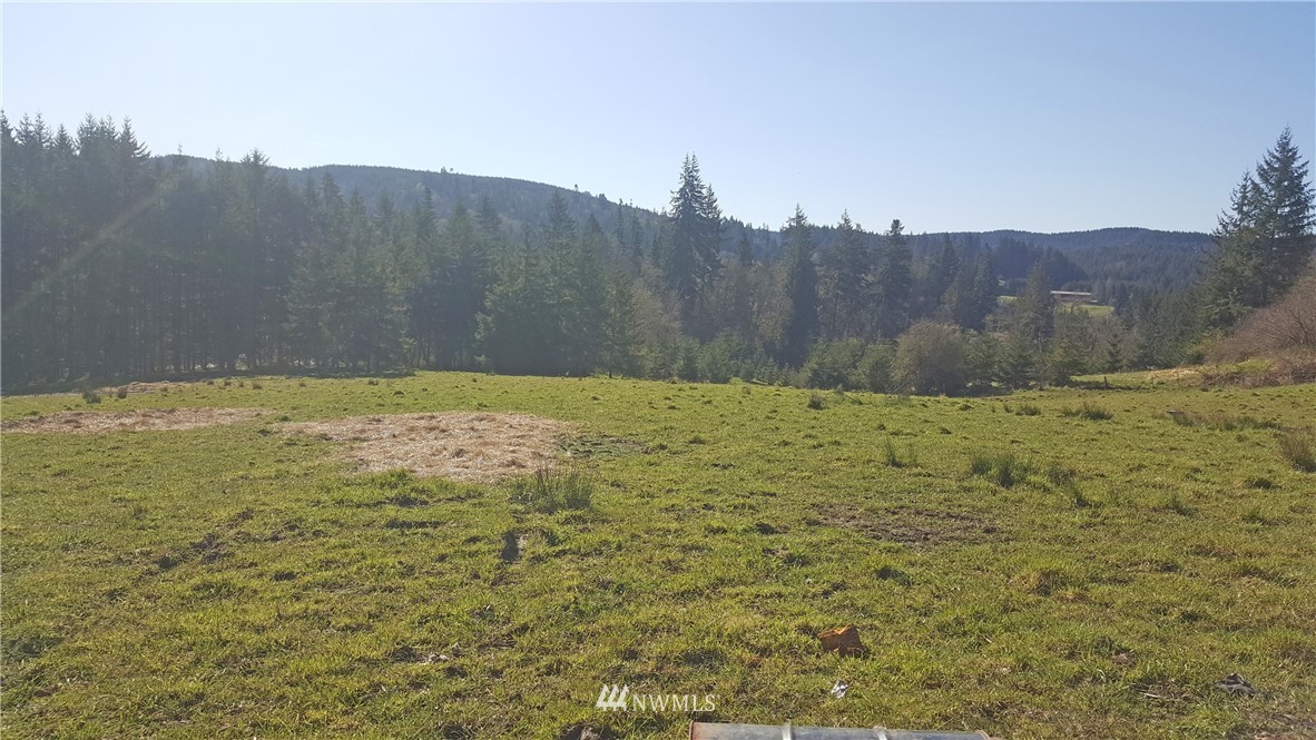 615 Independence Road Southwest Rochester, WA 98579 - Photo 22 of 38 a view of a backyard