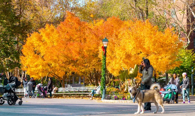 $5,652 | 16 Stuyvesant Ovl, Unit 10D | StuyTown