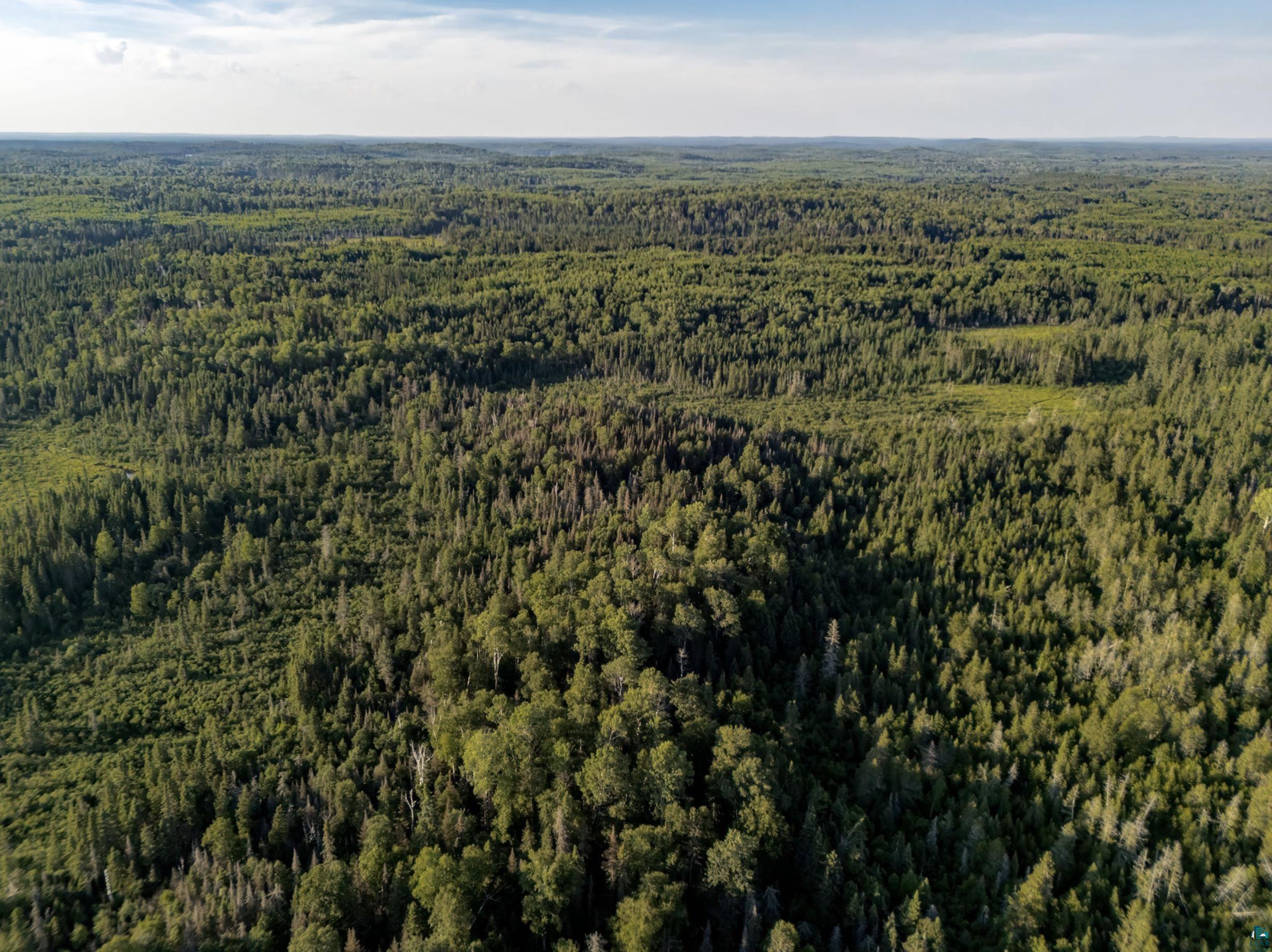 Tbd Hoist Lake Road Finland, MN 55603 - Photo 20 of 22