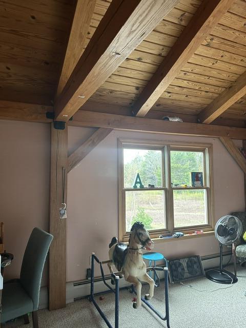 128 Mitten Mountain Road Columbia Falls, ME 04623 - Photo 17 of 20 IMG_8798