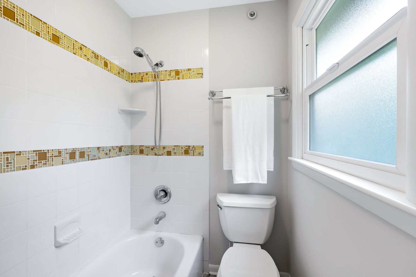5729 Dunham Road Downers Grove, IL 60516 - Photo 11 of 21 Gallery Image 11