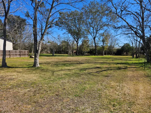 a view of a green field with trees