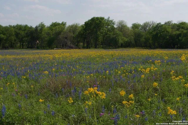 a view of a field with an ocean