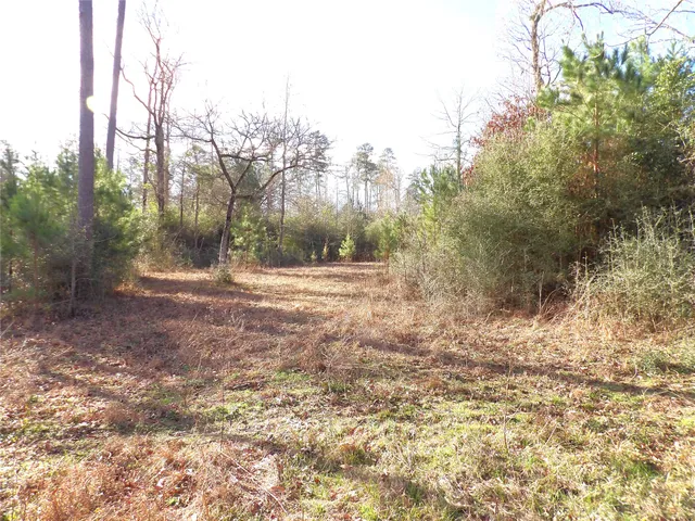 a view of a yard with trees