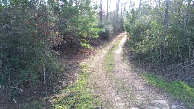 a view of a yard with an outdoor space