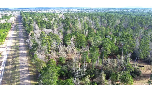 a view of a city with lush green forest