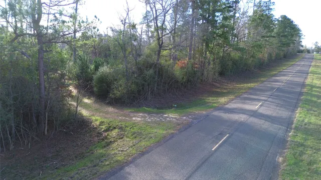 a view of a forest with trees in the background