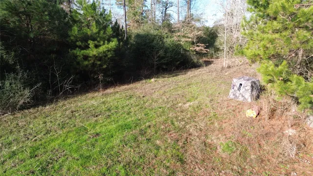 a view of a yard with trees in the background