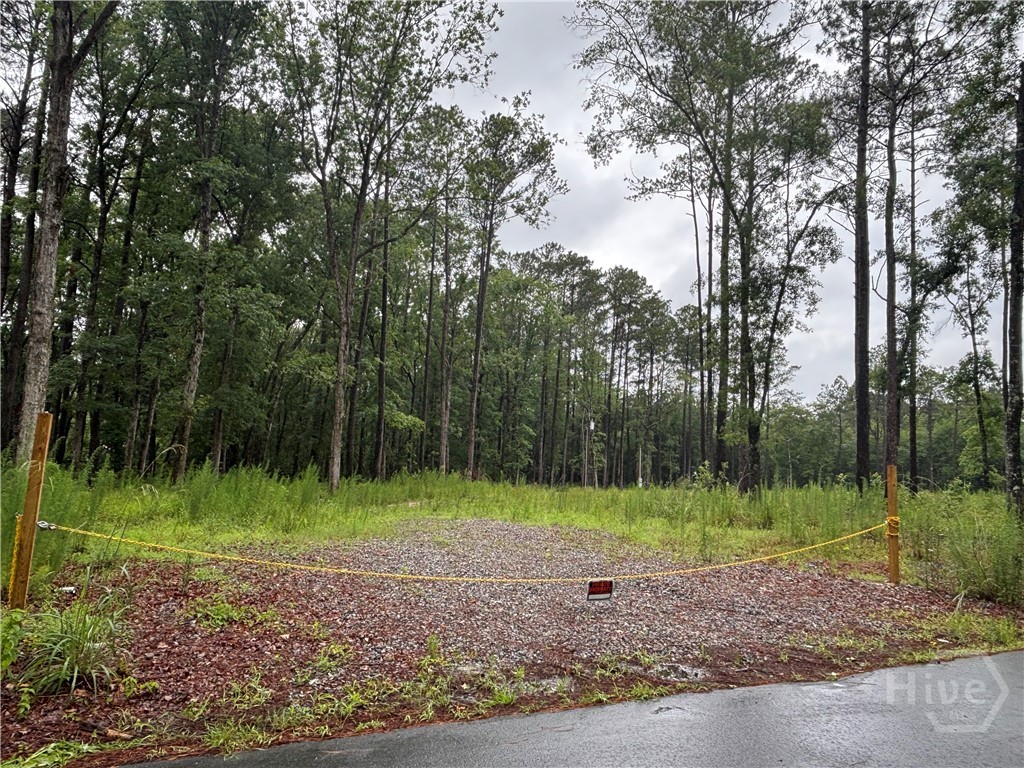 1075 Mill Pond Road Rincon, GA 31326 - Photo 3 of 8