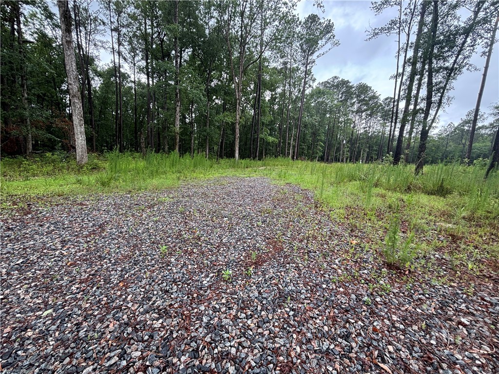 1075 Mill Pond Road Rincon, GA 31326 - Photo 4 of 8