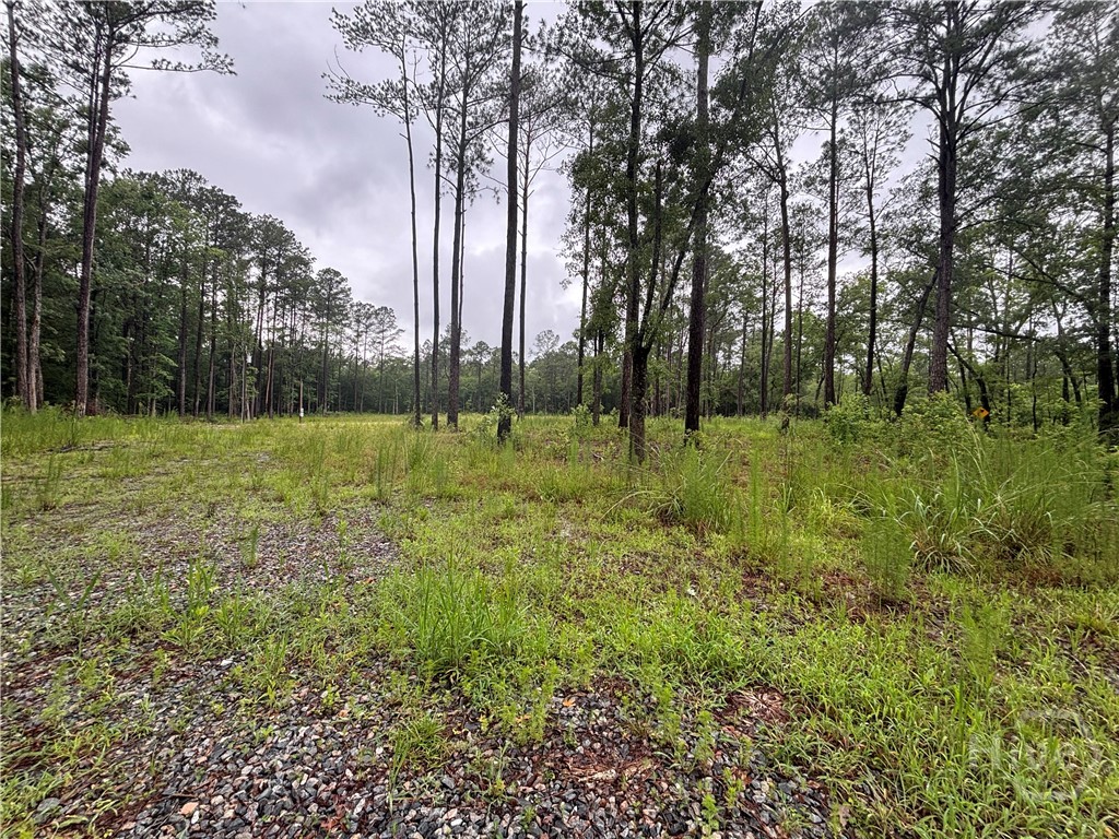 1075 Mill Pond Road Rincon, GA 31326 - Photo 8 of 8